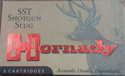 Cartuchos Hornady 300 Win Mag Slug 44g x5