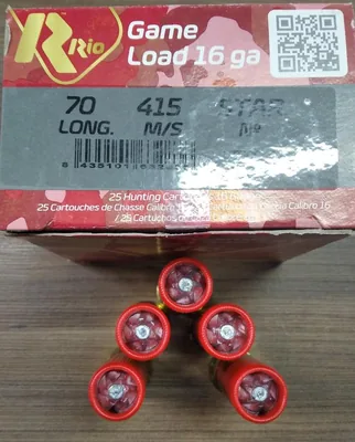 Cartuchos Rio 16GA Slug x5