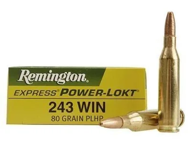 Balas Remington 243 Win 100gr x20