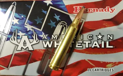 Balas Hornady American Whitetail 300 Win Mag 150gr Interlock x20