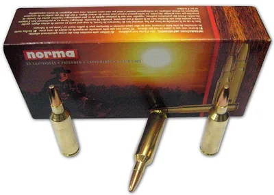 Balas Norma 270 WSM 156gr x20