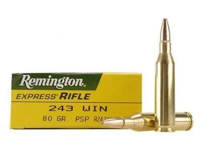 Balas Remington 243 Win 80gr SP x20