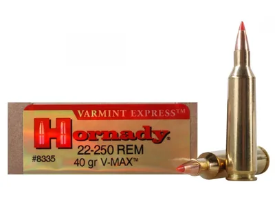 Balas Hornady 22-250 40gr Polymer Tip
