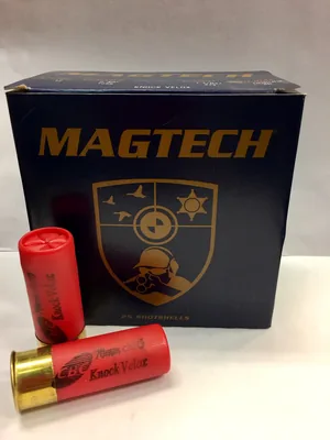Cartuchos Magtech 12GA Buckshot x25